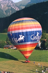 Coccinelle-montgolfiere - Cox Ballon (61)